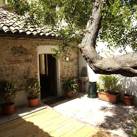 L'Albero Di Giuggiole Villa Cosenza Dış mekan fotoğraf