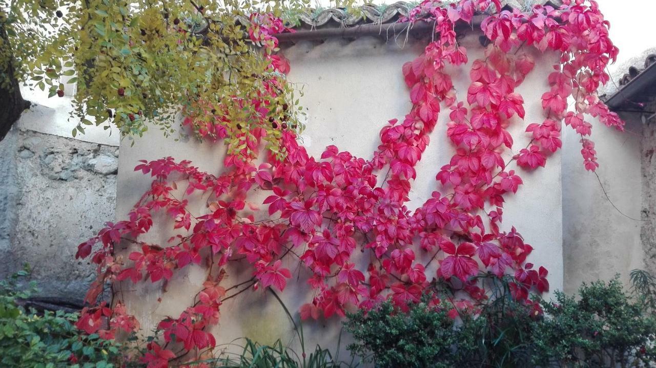 L'Albero Di Giuggiole Villa Cosenza Dış mekan fotoğraf